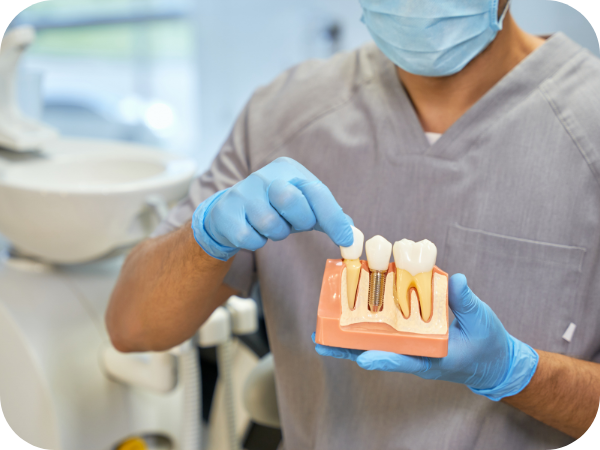 Dental Care Image